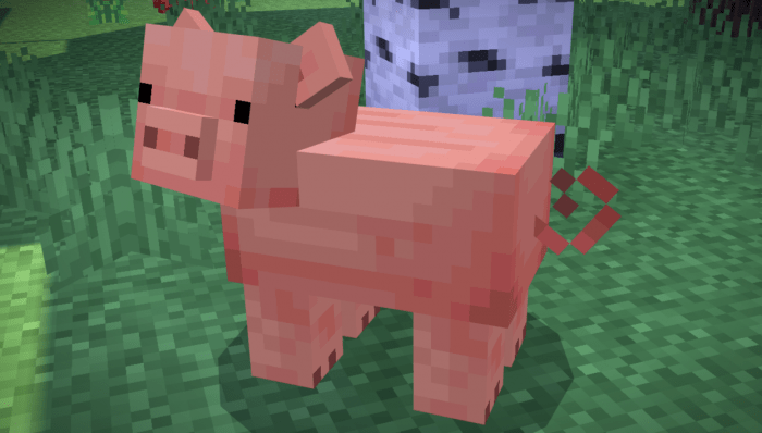 Minecraft Pig With Wings