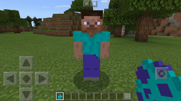 Steve Add On Minecraft Pe Mods Addons