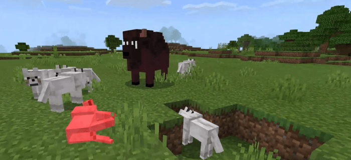 skat Marco Polo Slået lastbil Bison Addon (The Baby Bison Update) | Minecraft PE Mods & Addons