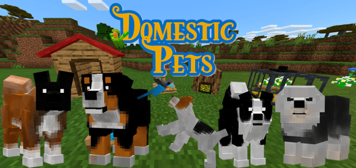 Domesticpets Minecraft Pe Mods Addons