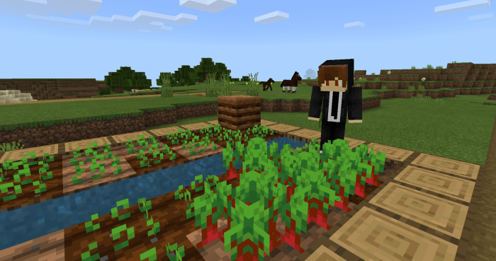 Minecraft Pocket Edition скин Villager. Ферма моркови на жителях. Мод на разумных жителей. Ферма моркови майнкрафт на жителей.