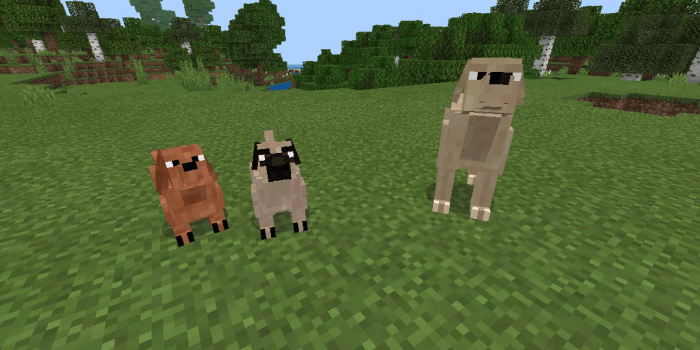 MCPE/Bedrock AnimalsPets Addon – Minecraft Addons – MCBedrock Forum