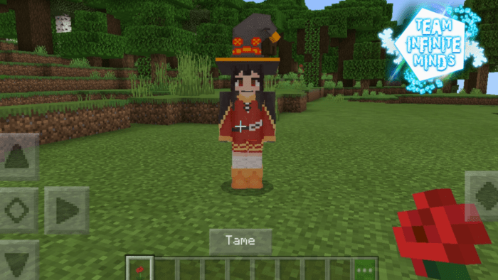 Anime Waifu Texture Pack This Pack Contains Every Animu Related Mod I