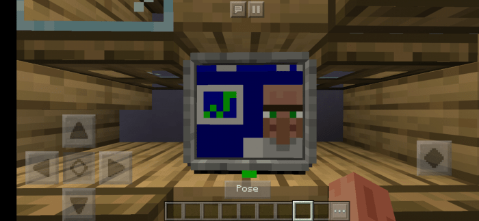 custom minecraft tv