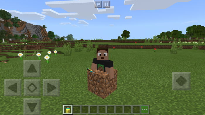 Minecraft Block Morphs Addon Minecraft Pe Mods Addons