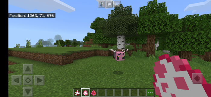 Cherry Blossom Minecraft Biome