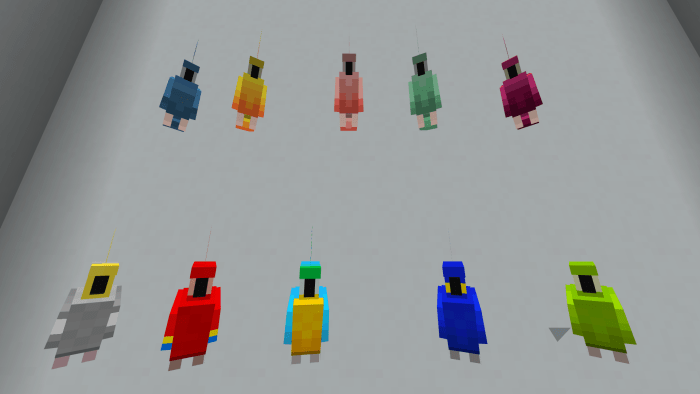 Itzwaffles21 Parrot Expansion Add On Minecraft Pe Mods Addons