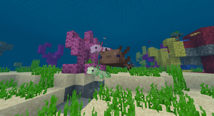 Axolotl Concept Add On Minecraft Pe Mods Addons