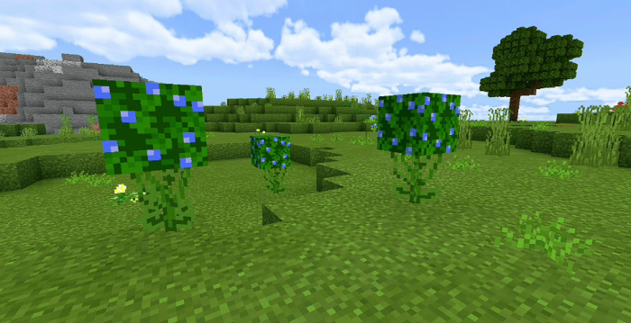 Better Foliage V2 Bedrock Editionnew Plants And New Features