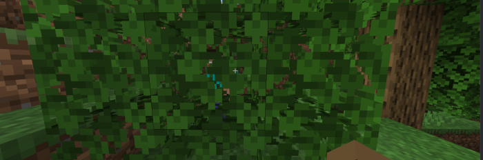 No Nametags Minecraft Pe Mods Addons