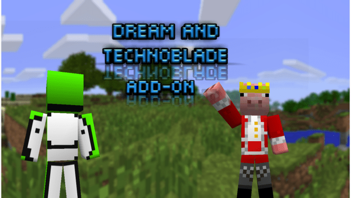 Technoblade Skins for MCPE APK for Android Download