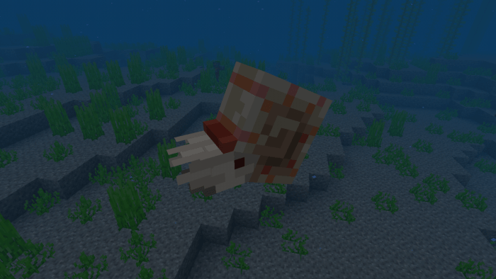 How to find nautilus shell in minecraft