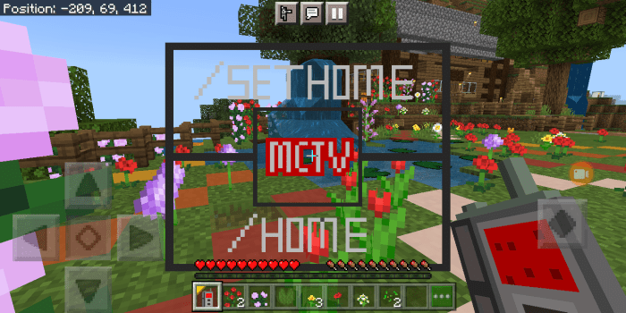 Set home hot sale minecraft