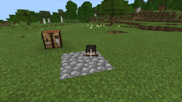 minecraft tiny player addon