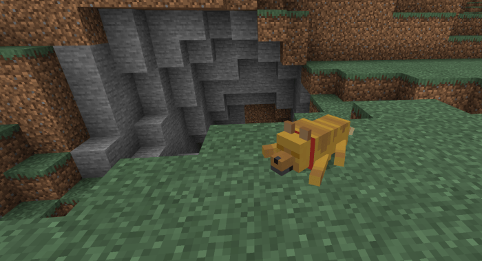 Dog Bed Minecraft The Y Guide