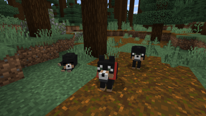 Wolves Minecraft Pe Mods Addons