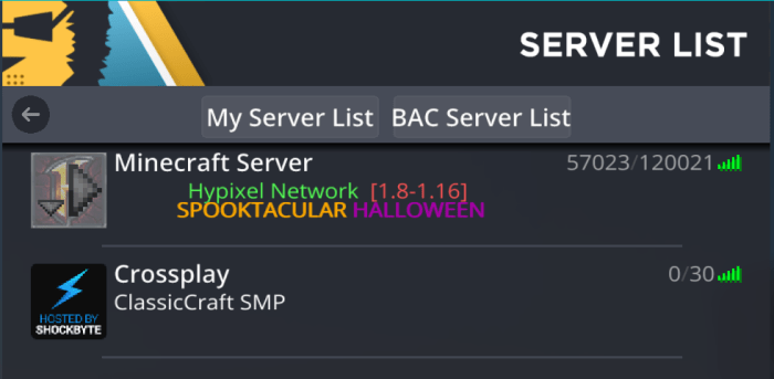 minecraft server hosting for bedrock and java