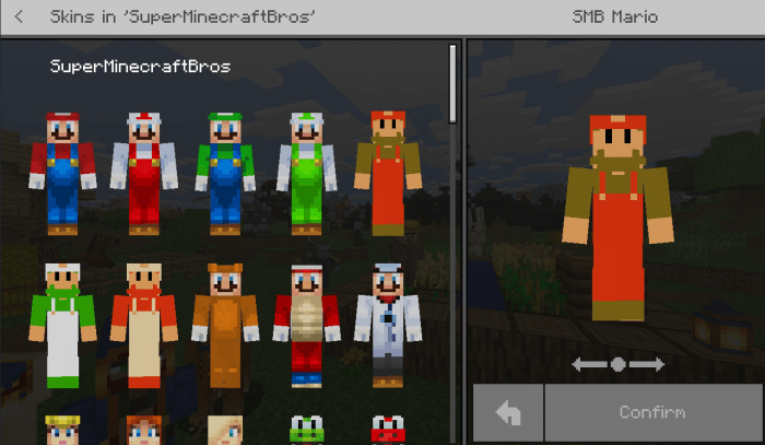 new super minecraft bros