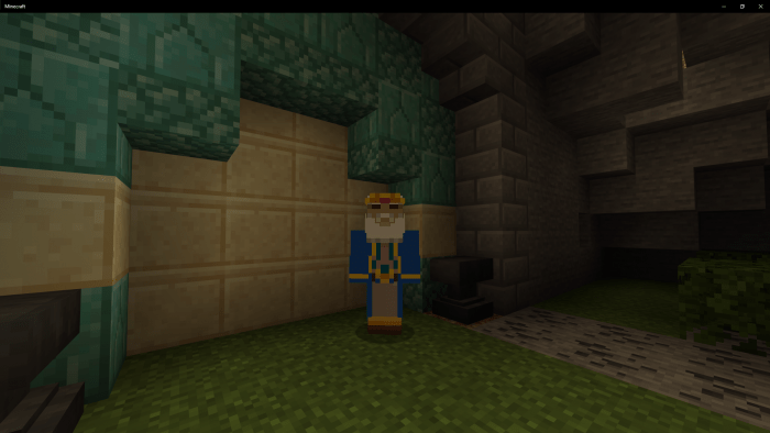 minecraft legend of zelda king of hyrule skin