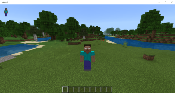 Herobrine Skin Pack! 