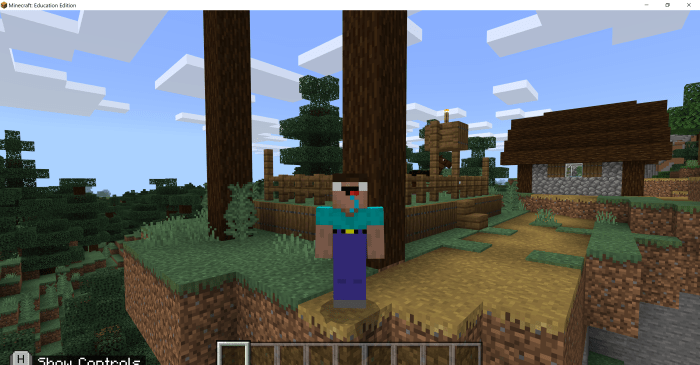 my steve and herobrine skin pack 