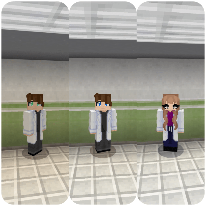 Hey, Northwood. This Minecraft Bedrock Edition skin pack called SCP  Monsters HD used some of your models and did not credit. : r/SCPSL