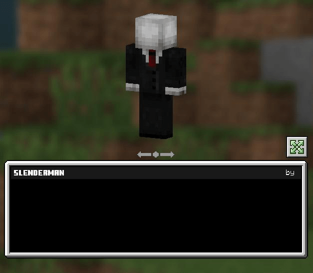 Door Minecraft Skins