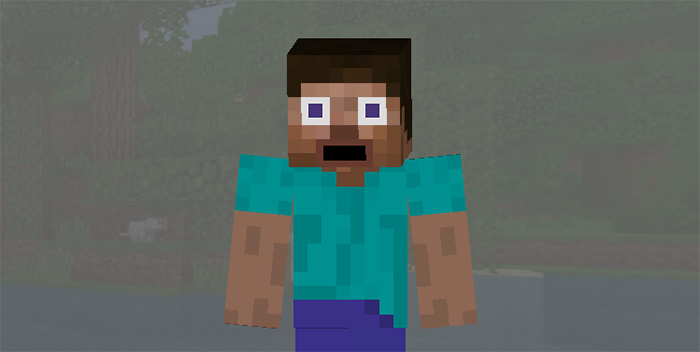 Steve Faces Skin Pack | Minecraft Skin Packs