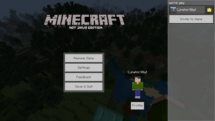 java edition minecraft