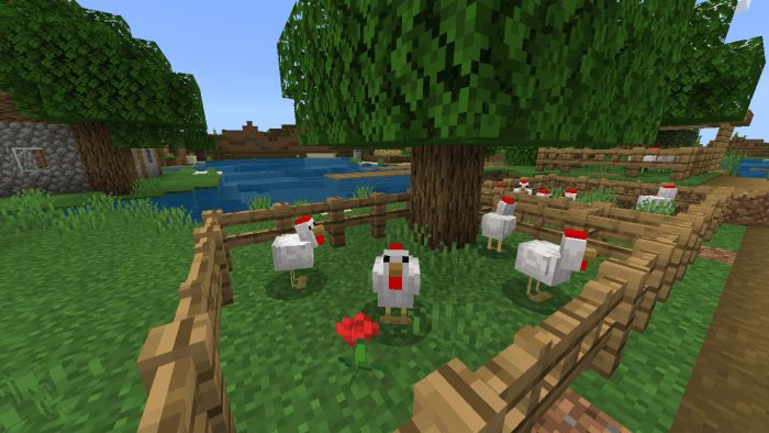 Better Chickens Resource Pack | Minecraft PE Texture Packs