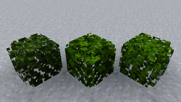 minecraft leaf texture