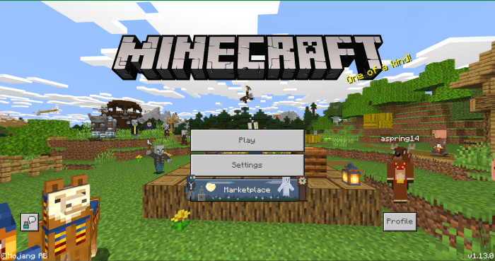 minecraft download skin packs