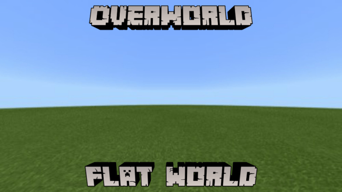 My Flat World